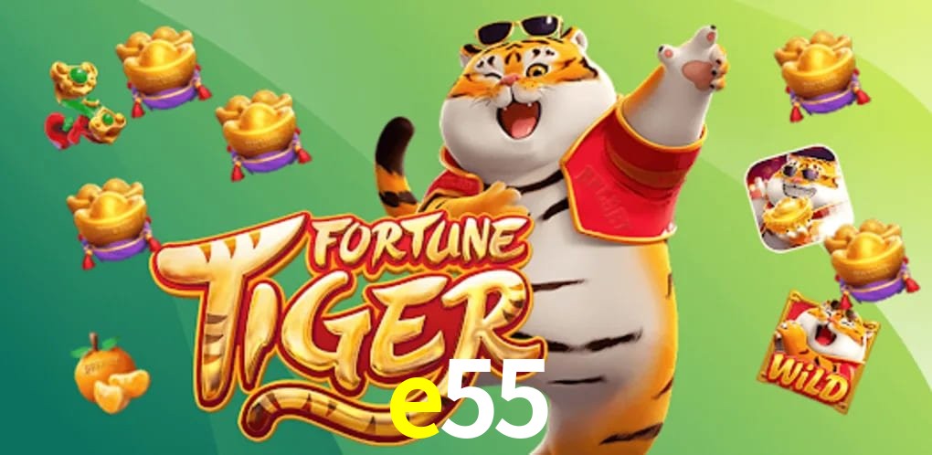 Security Systems e55